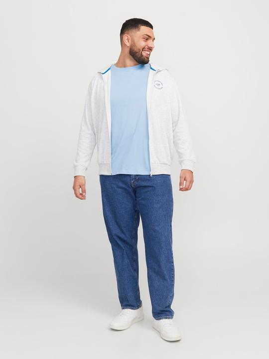 Actual product image Jack & Jones Jjepaulos Tee Ss Crew Neck Noos Pls (3XL)