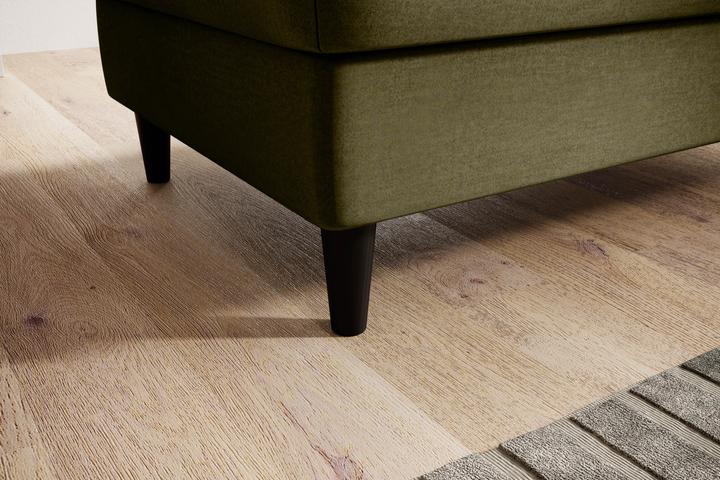 Image du produit ELTAP Bellis