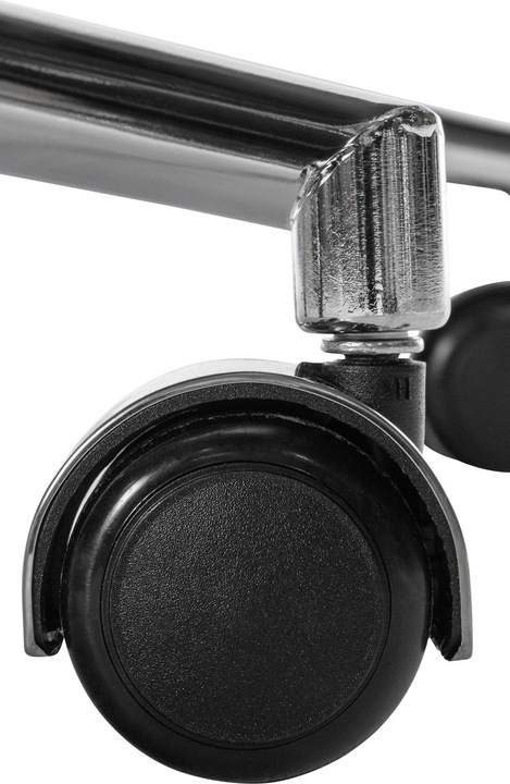 Actual product image CLP Mollis