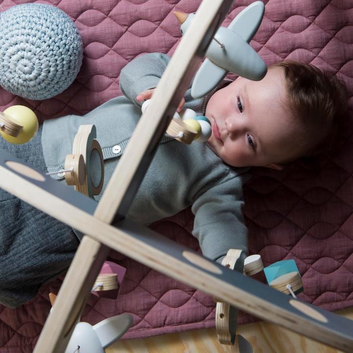 Image du produit Sebra Baby gym