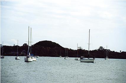 Actual product image Cokin Z121M Graduated filter grey 2 (ND4) (82 mm, Neutral density filter)