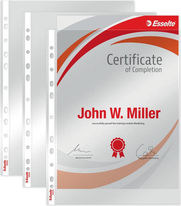 Actual product image Leitz Esselte Premium brochure cover, A4, PP, crystal clear, 0.10 mm open top, document-proof, Euro (A4, 1 x)