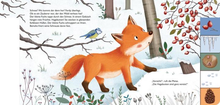 Actual product image My First Book of the Seasons: Ferdy the Little Fox (German)