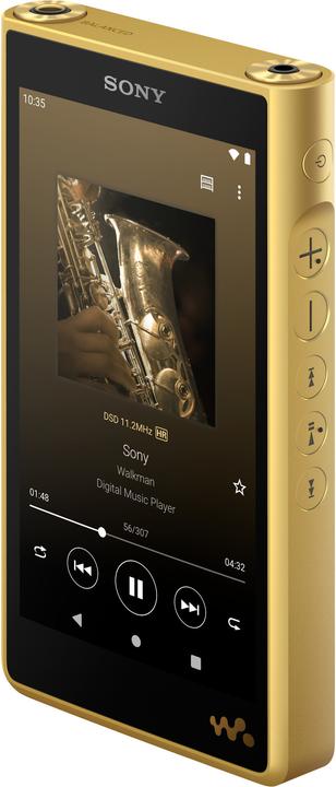 Image du produit Sony NW-WM1ZM2 (256 Go)
