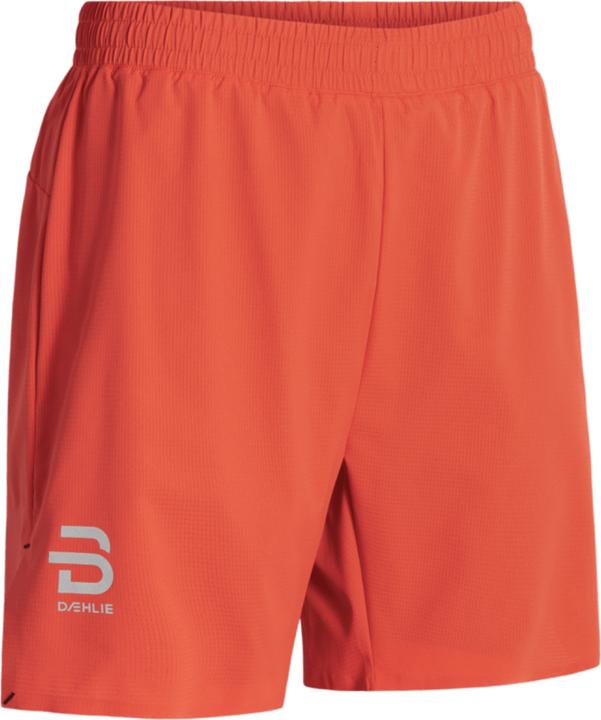 Produktbild Daehlie M Shorts Run 365 (XL)