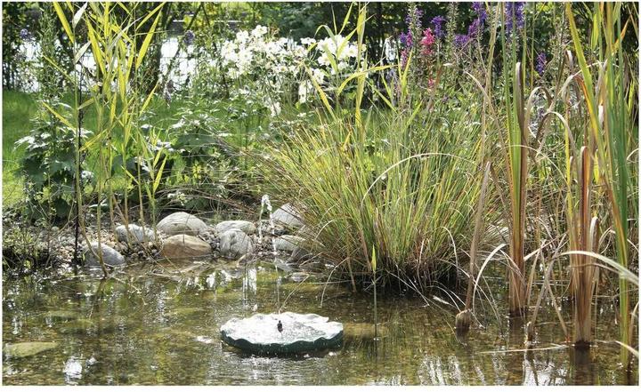 Produktbild Pontec Solarteichpumpe 15