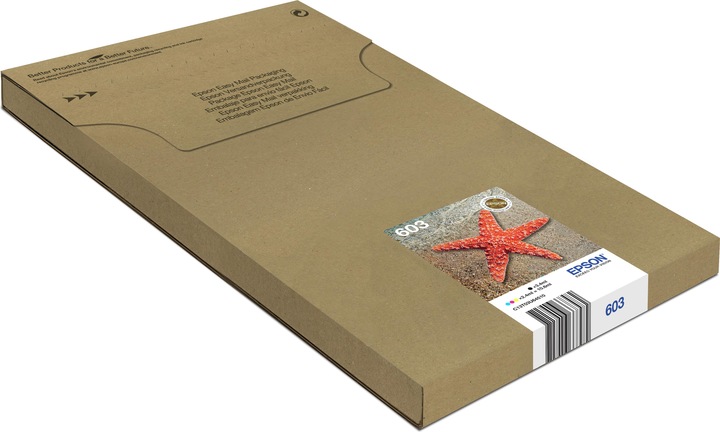 Epson MULTIPACK 4-COLOURS 603 EASY MAIL (M, BK, Y, C)