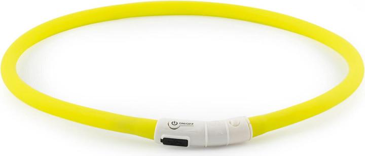 Immagine prodotto Ancol Collare per cani con lampada a LED (1, Cane)