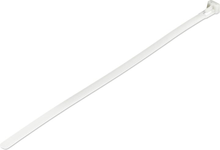 Produktbild StarTech 10"(25cm) Reusable Cable Ties, 1/4"(7mm) wide, 2-1/2"(65mm) Bundle Dia. 50lb(22k (Kunststoffkabelbinder, 250 mm, 100 Stk.)
