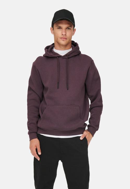 Image du produit Only & Sons Onsceres Hoodie Sweat Noos (XS)