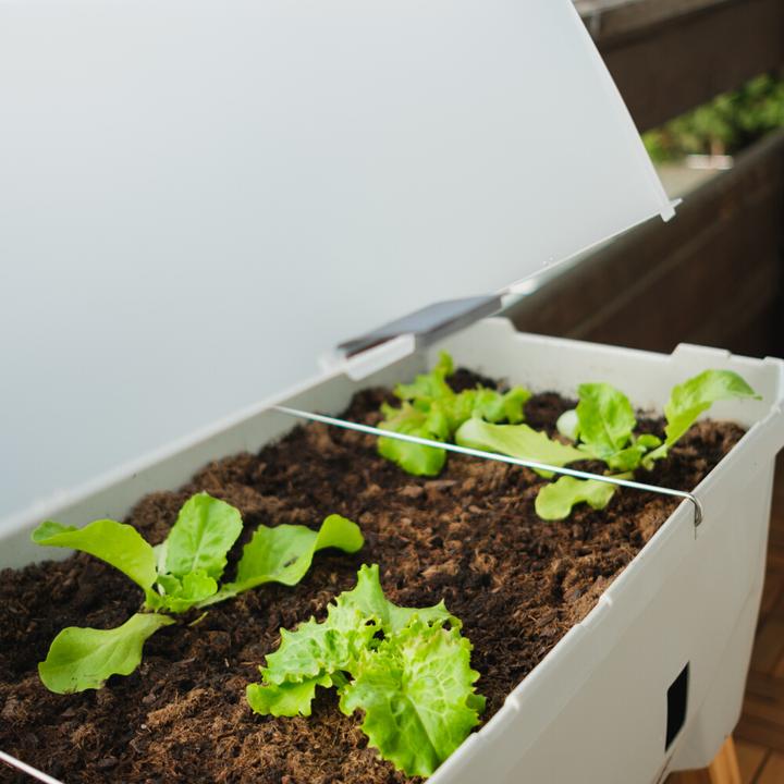 Actual product image Gusta Garden Raised Bed SAMMY SALAD Starter Set, Light Gray