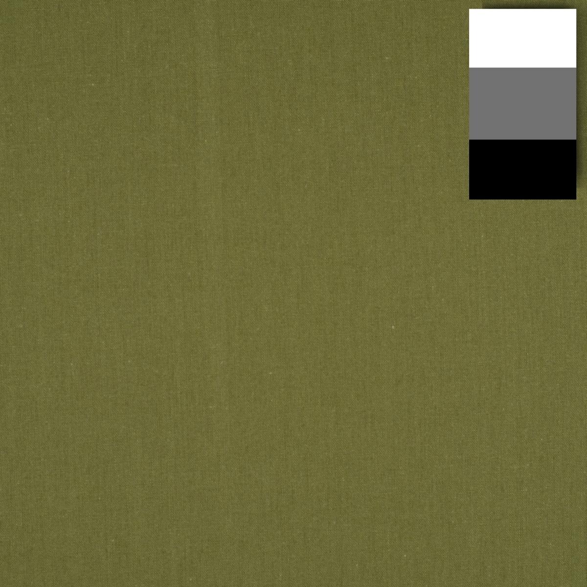 Walimex pro Stoffhintergrund (285 cm, 600 cm), Hintergrundsystem, Grün