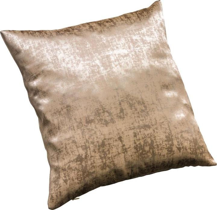 Johann Jakob Glaw (45 x 45 cm)