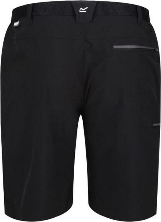Actual product image Regatta Mens Xert III Stretch Shorts (44)