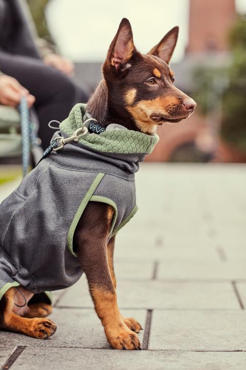 Produktbild Hurtta Razzle-Dazzle blackberry Gr.45 (M, Hundemantel)