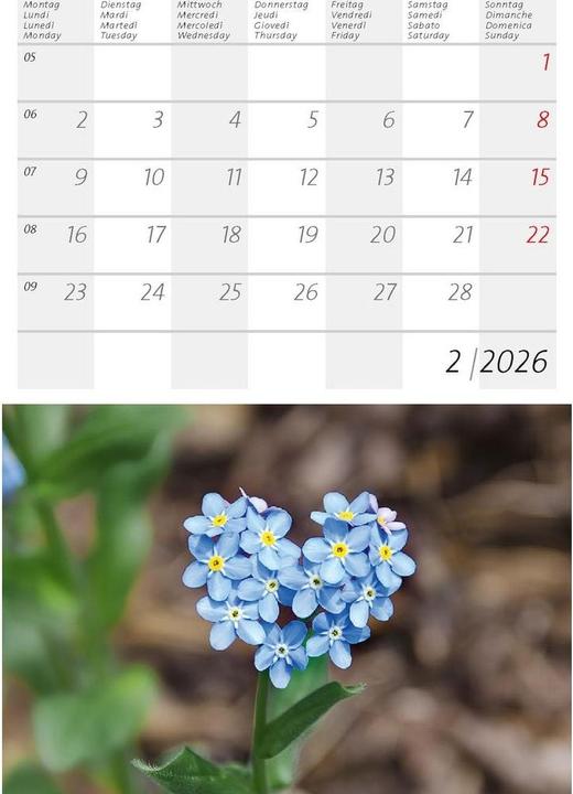 Actual product image Alpen- und Gartenblumen 2026