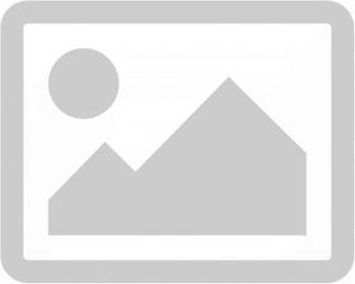Actual product image Dell S2722DGM (2560 x 1440 pixels, 27")