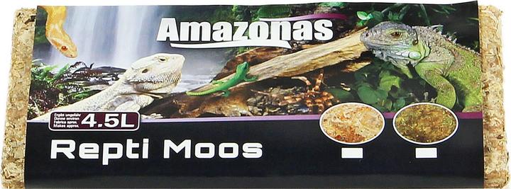 Decorazione terrario