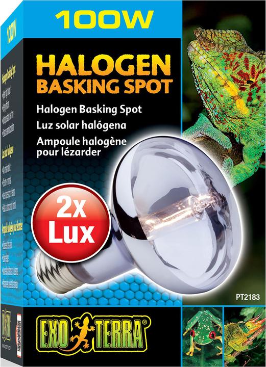 Productafbeelding Exo Terra Sun Glo Daglicht Halogeenlamp 100W (UVB)