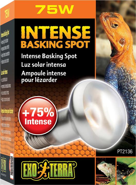 Actual product image Exo Terra Sun Glo Heat Spot Lamp TB 75W (UVB)