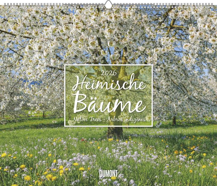 Heimische Bäume 2026 – Wandkalender 60x50 cm – Spiralbindung (58.4 x 48.5 cm)