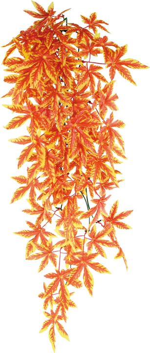 Amazonas Repti Fantasy Plant