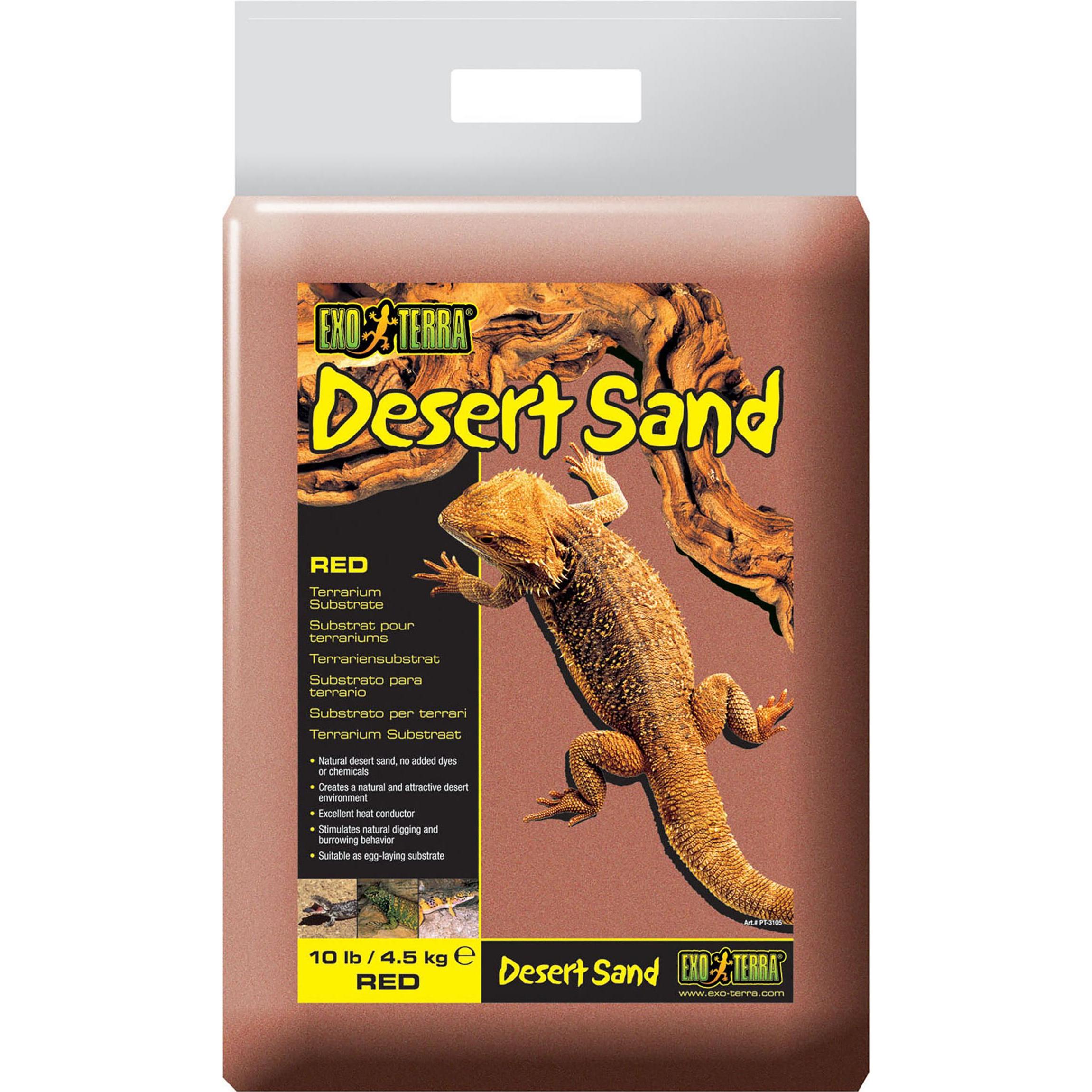 Exo Terra Desert, Terrariumeinrichtung