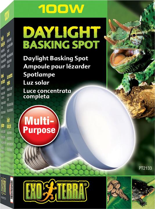 Actual product image Exo Terra Daylight Basking Spot (UVA)