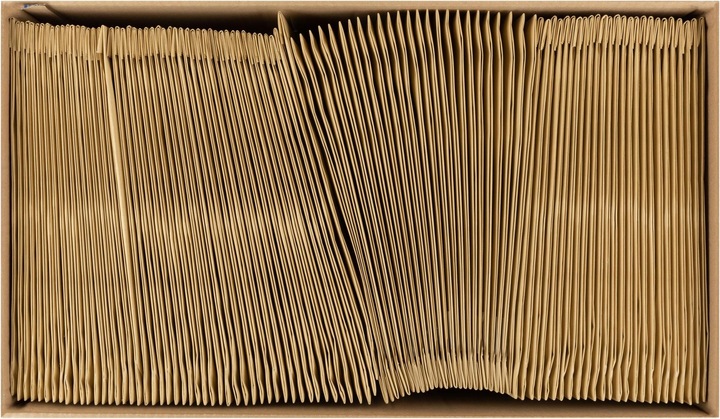 Immagine prodotto Antalis Busta di carta imbottita B4, 100 pezzi (100 x)
