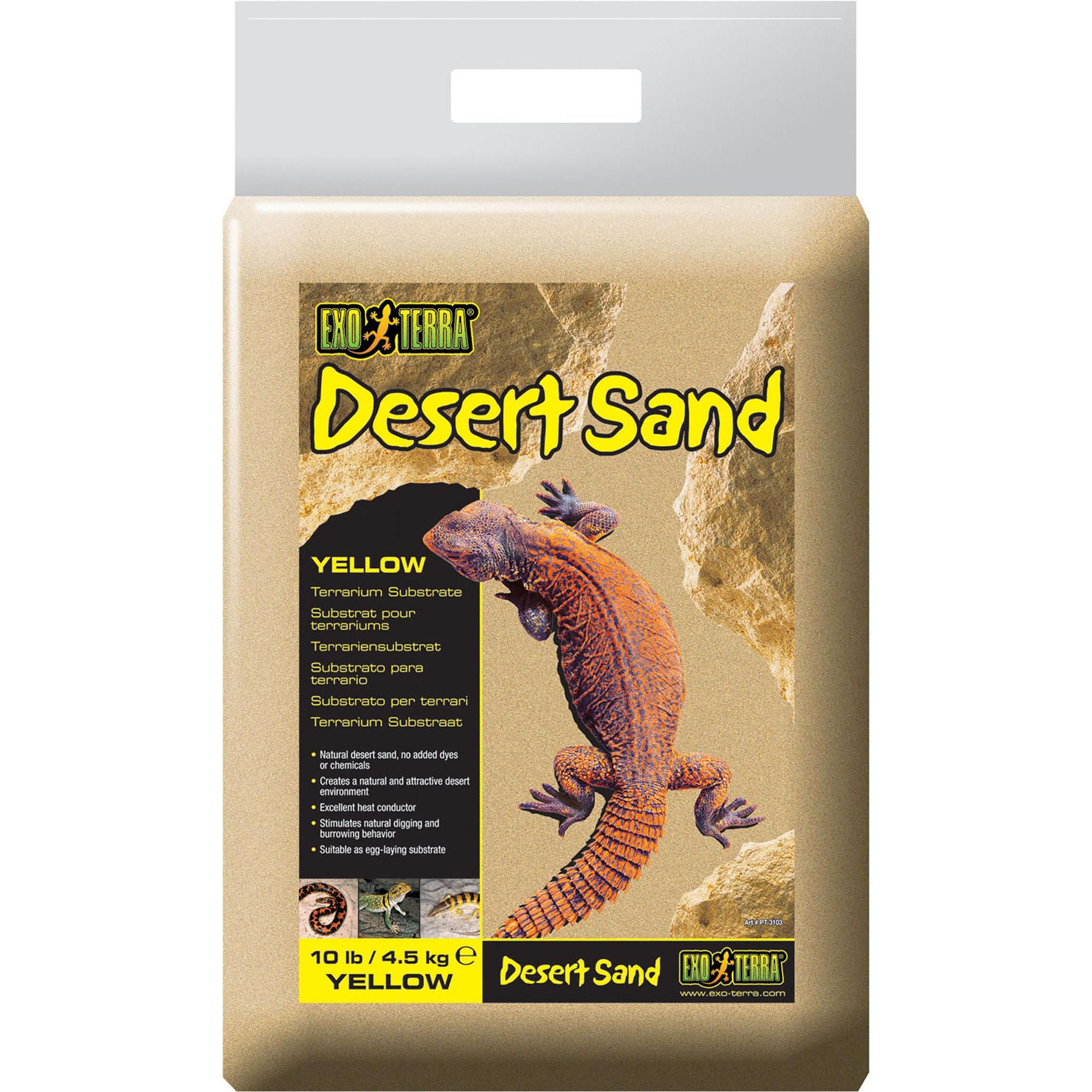 Exo Terra Desert, Terrariumeinrichtung