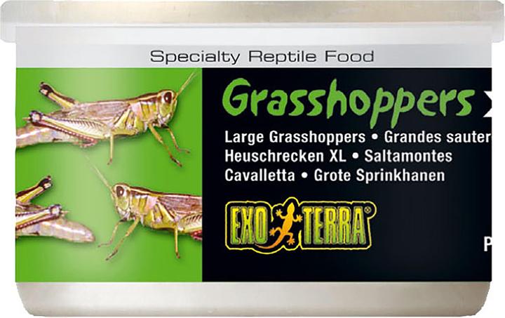 Exo Terra Cibo per rettili Cavallette 34g (1 x, 0.03 kg)