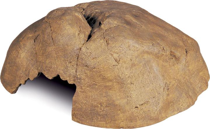 Actual product image Exo Terra Reptile Cave