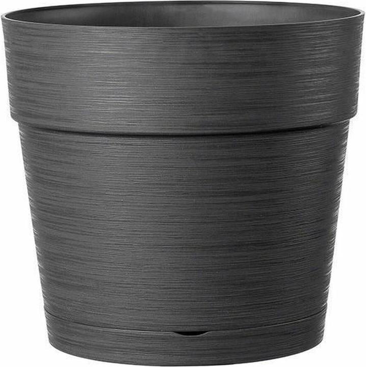 Charcoal