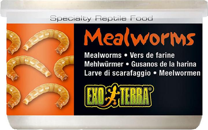 Actual product image Exo Terra Reptile food Mealworms 34g (1 x, 0.03 kg)