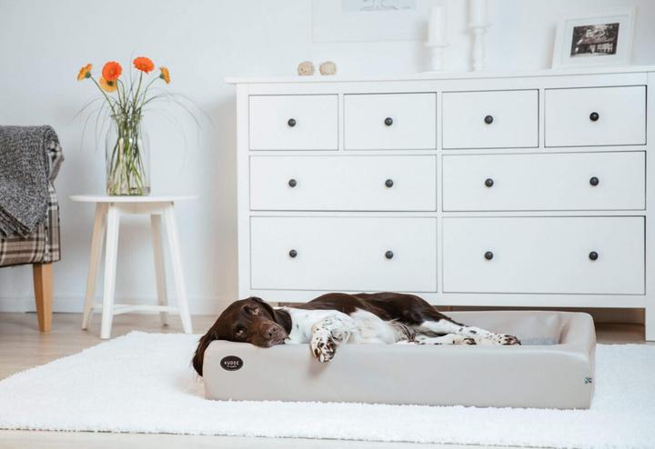 Produktbild Sabro Kudde (Hund)