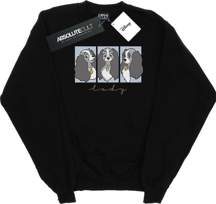 Produktbild Disney Lady And The Tramp Lady Frames Sweatshirt Jungen (128)