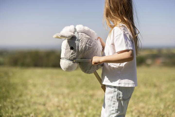 Immagine prodotto Teddykompaniet - Hobby Horse Detachable, Grey (TK13009)