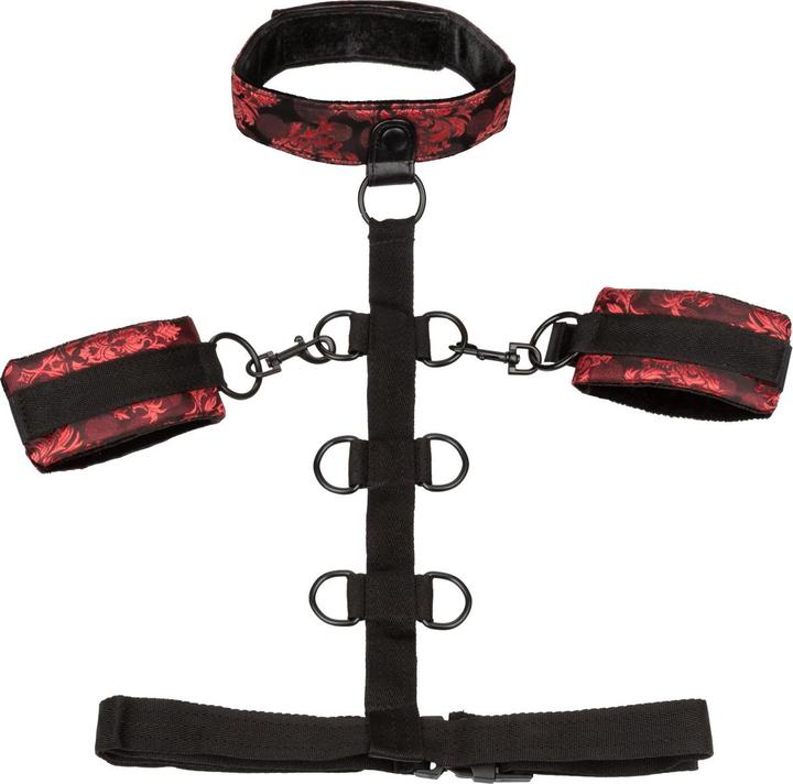 Image du produit CalExotics Scandal Collar Body Restraint
