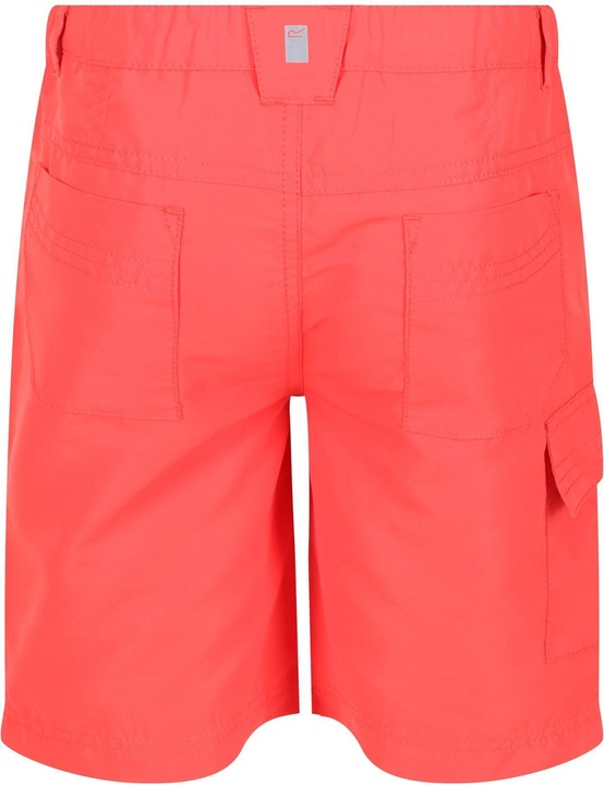 Actual product image Regatta Sorcer Ii Shorts (140)