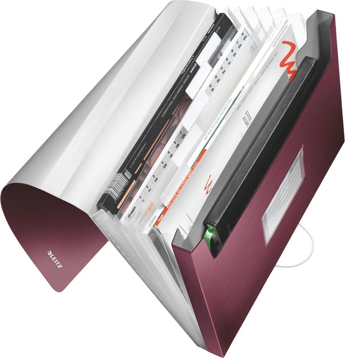 Actual product image Leitz Folder Style PP (A4, 1x)