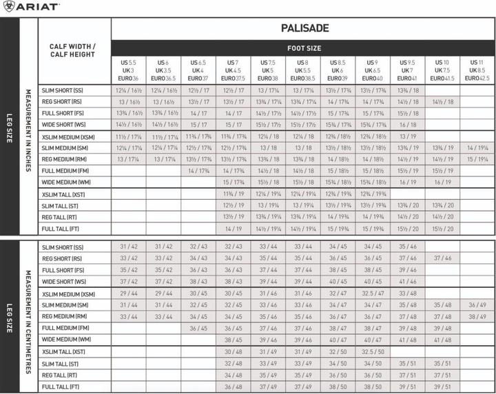 Actual product image Ariat Riding boots palisade (39)