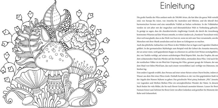 Produktbild Faszinierende Pilze