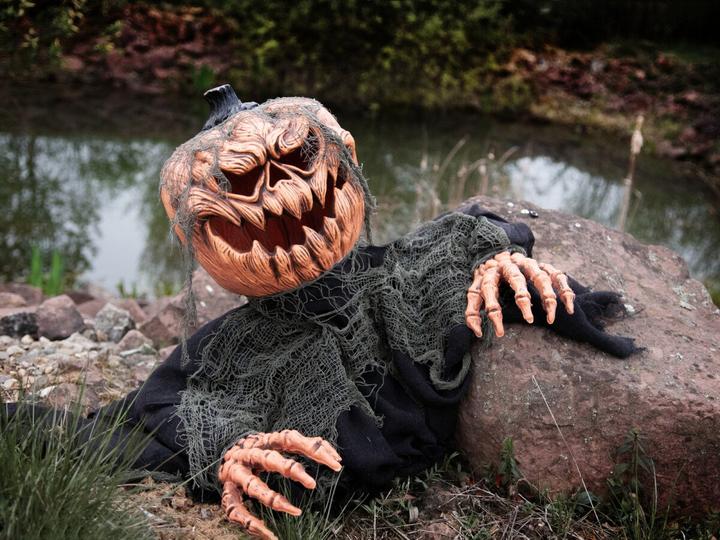 Actual product image Europalms Halloween pumpkin monster (1 Piece)