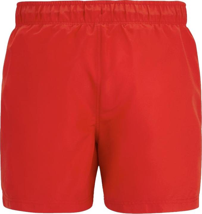 Produktbild Regatta Mawson II Kurze Hose (S)