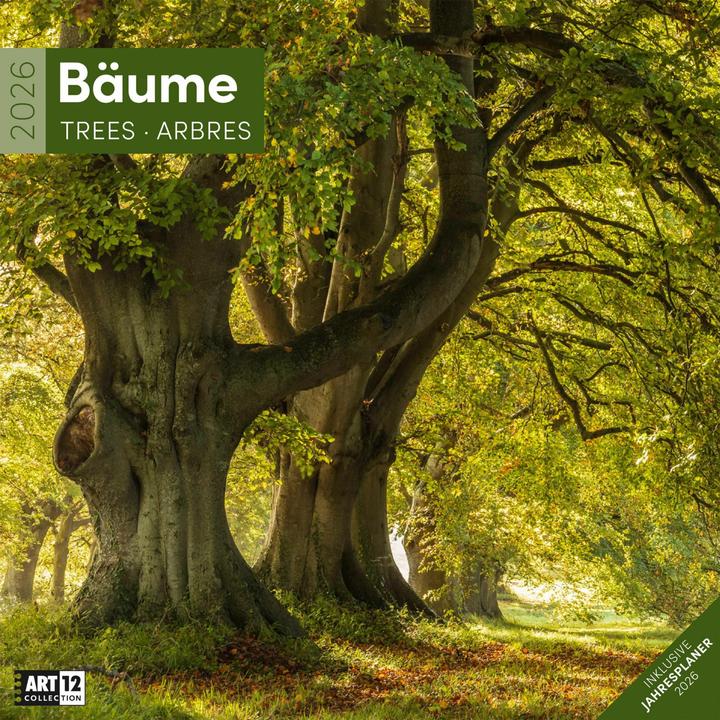 Image du produit Bäume Kalender 2026 - 30x30 (30 x 30 cm, Couverture rigide, Français, Anglais, Allemand, Italien)