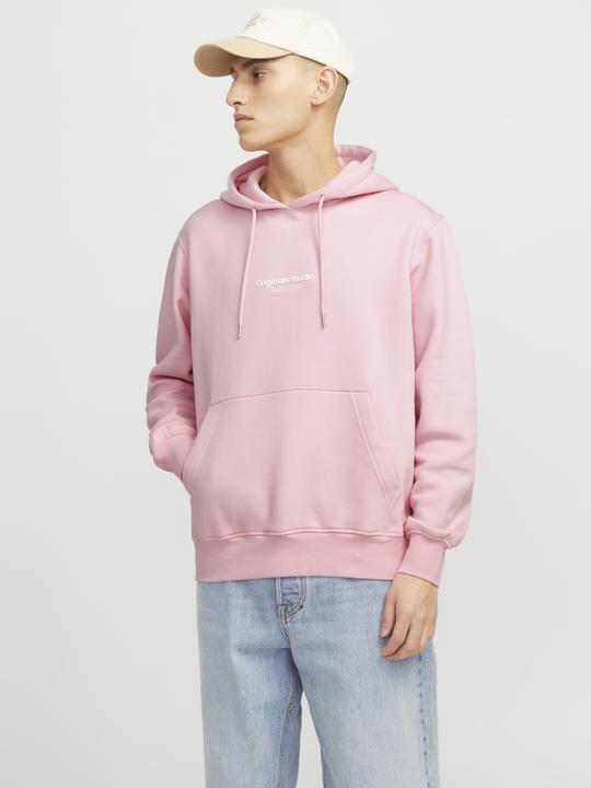 Produktbild Jack & Jones Jorvesterbro Sweat Hood Noos (XXL)