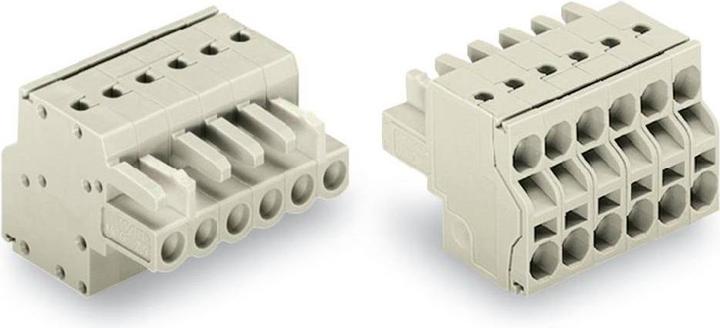Actual product image Wago 2-wire female multipoint connector