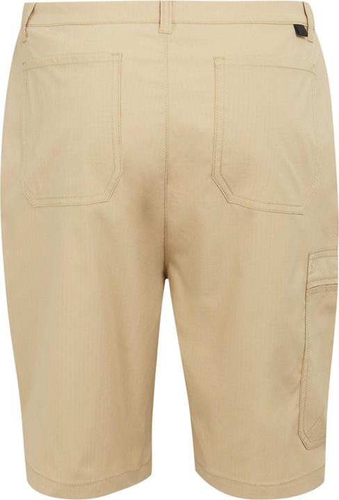 Produktbild Regatta Dalry Shorts (34)