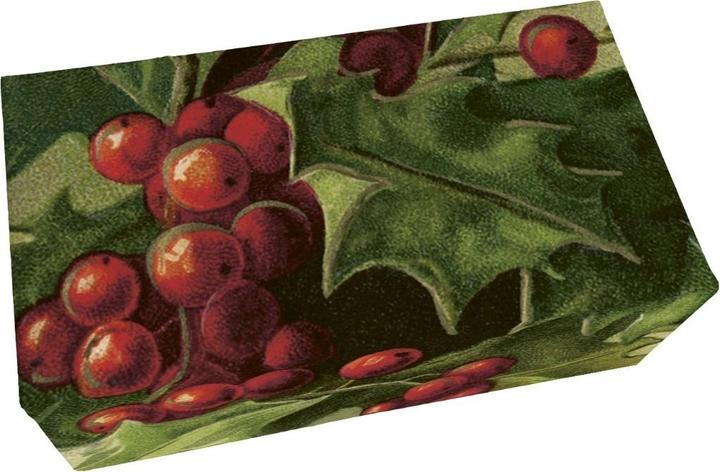 Sköna Ting Seife 200g, Apfelduft, Stechpalme (refill)