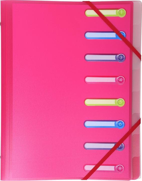 Actual product image Exacompta Stapled file folders (A4, 1 x)